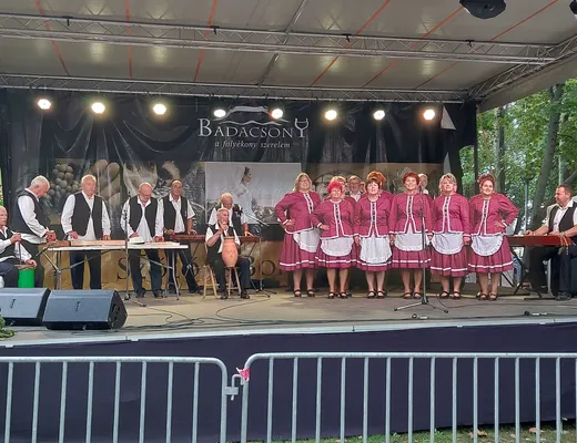 Vasadi Hagyományőrző Citerazenekar
